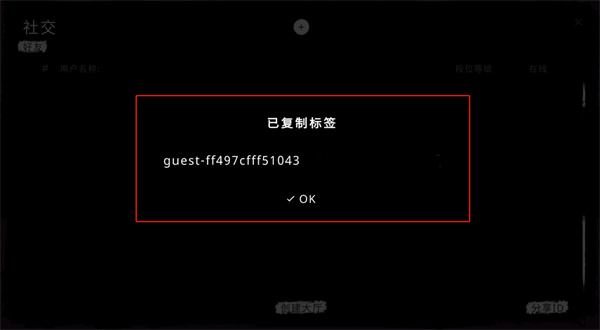 鬼魂The Ghost官方正版