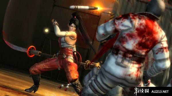 忍者龙剑传3：刀锋边缘