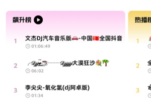 DJ音乐库app