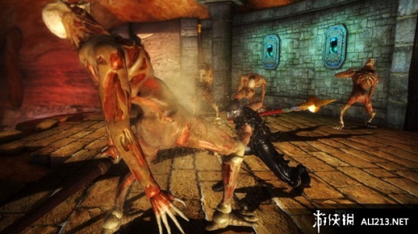 忍者龙剑传：西格玛