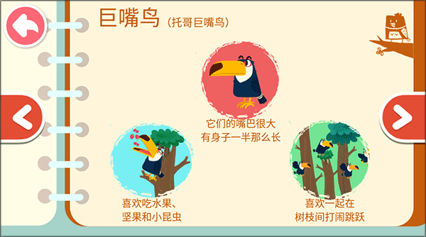 宝宝鸟类认知app