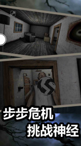 恐怖奶奶2手游