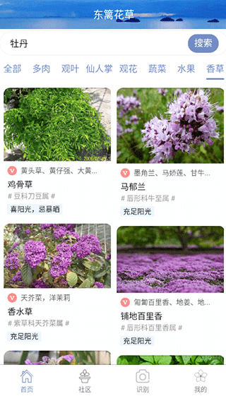 东篱花草app