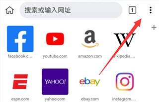 kiwibrowser浏览器