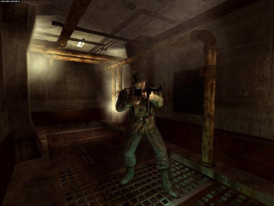 皇家海军突击队