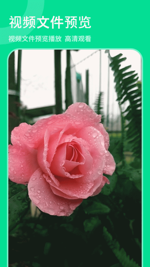 解压专家app