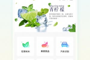 智能拍照识物app