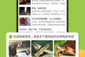 龟友天下app