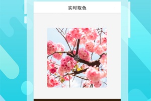 取色器安卓版