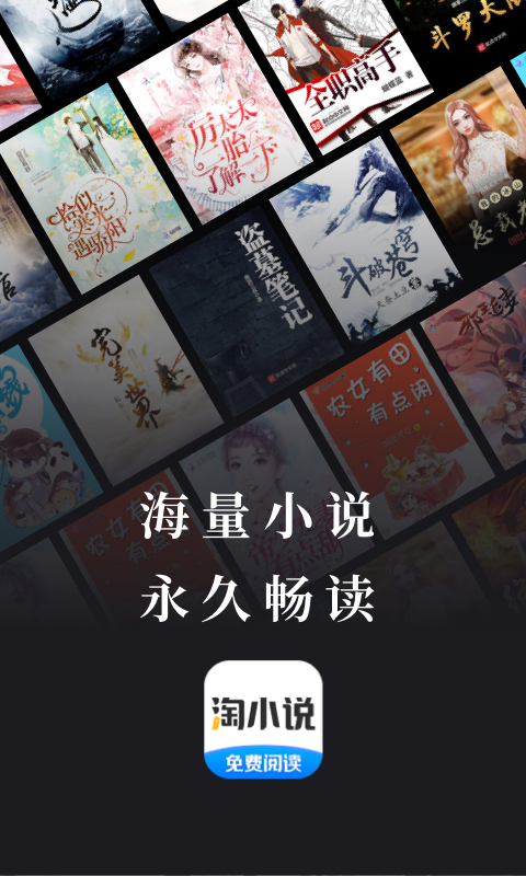 淘小说金币版