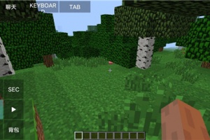 PojavLauncher启动器