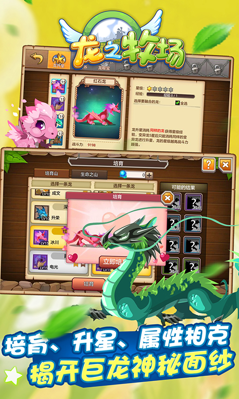 育龙高手vivo版