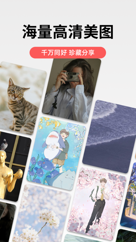 堆糖app