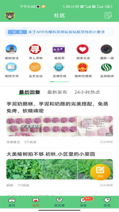 榆树生活网手机版