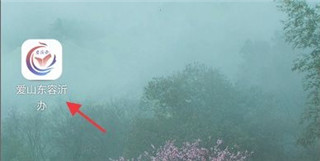 爱山东容沂办app