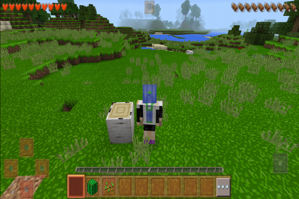 生存战争2官方正版(survivalcraft 2)