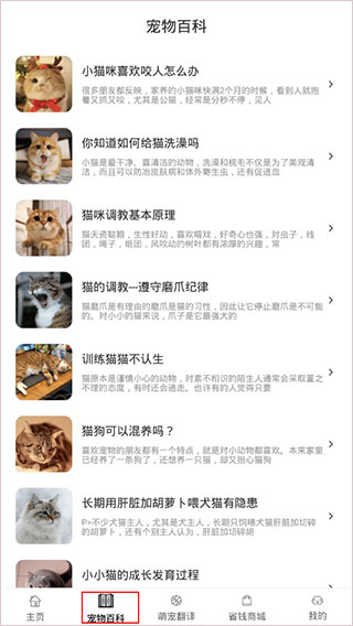 猫语Speaker