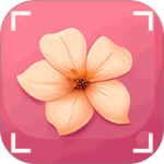 识花君植物识别