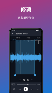 简易录音机专业版(Easy Voice Recorder pro)