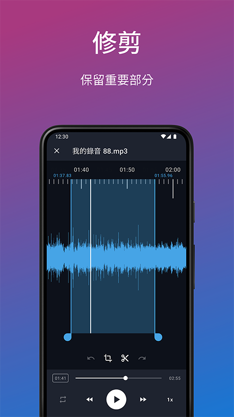 简易录音机专业版(Easy Voice Recorder pro)