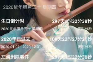 时间规划局app