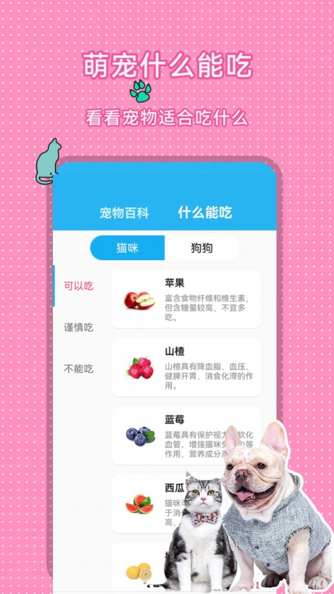 人猫人狗翻译交流器