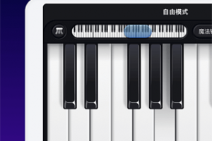 钢琴弹奏大师