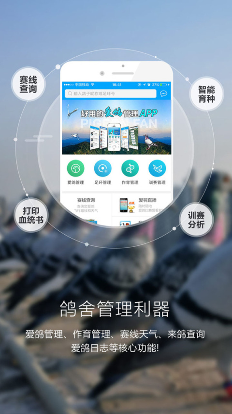 爱鸽者最新版