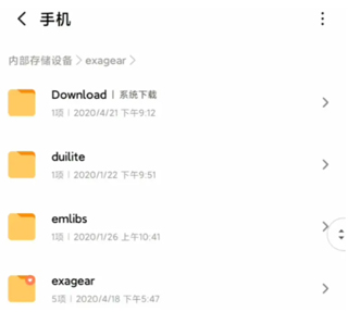 ExaGear ED302