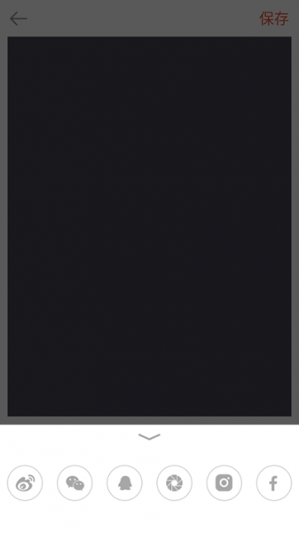 Palette Paris相机app