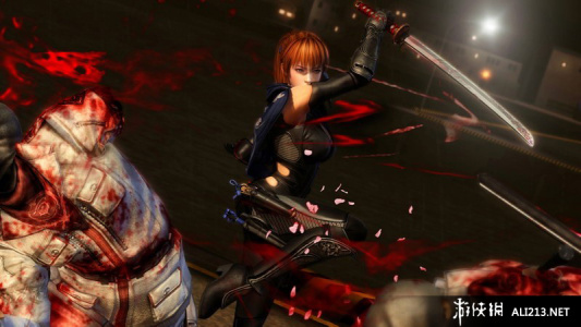 忍者龙剑传3：刀锋边缘