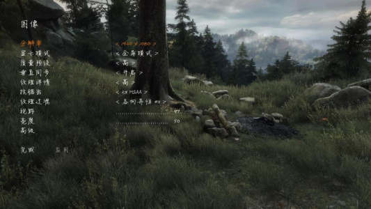 伊森卡特失踪之谜