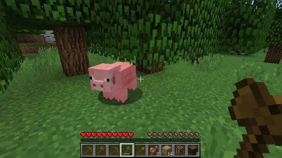 我的世界PE版最新版