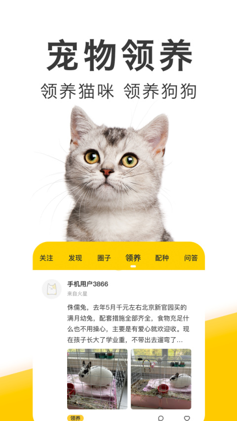 有只宠物手机版