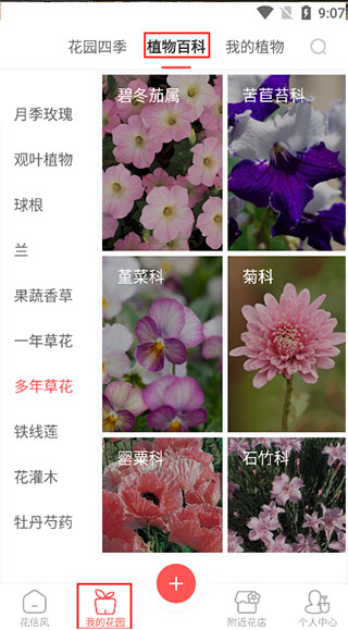 花信手机版