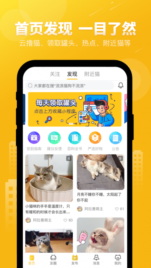 友猫app