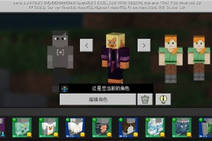 我的世界体验服