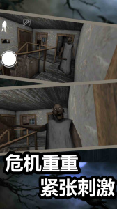 恐怖奶奶2手游