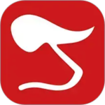 阿牛智投app