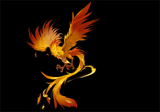 闪烁之光福利服