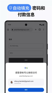 谷歌浏览器(Google Chrome)