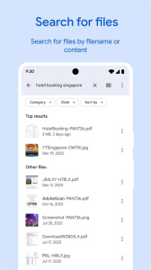 Google文件极客(Files by Google)