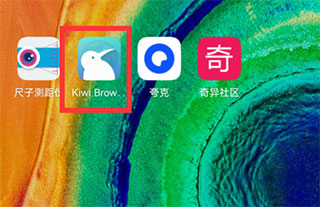 kiwibrowser浏览器