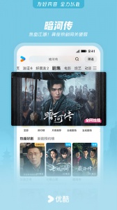 优酷华为定制版