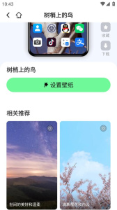 悟空壁纸app