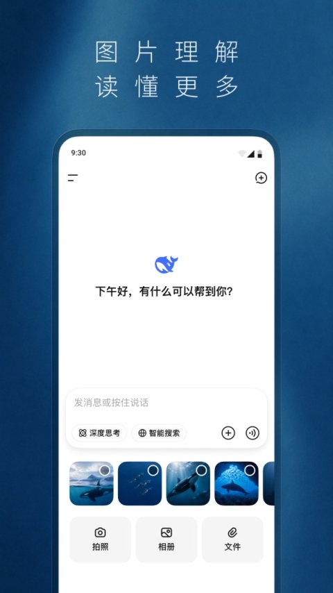 DeepSeek官方版
