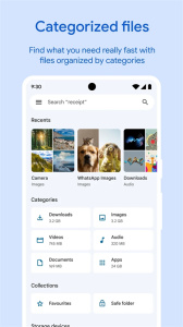 Google文件极客(Files by Google)