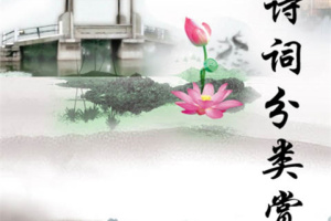 古诗词分类赏析app