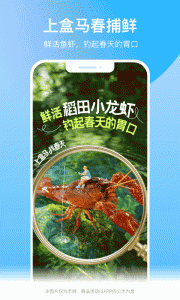 盒马生鲜超市app