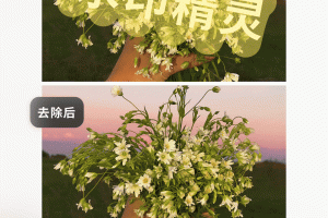 乐其爱水印精灵app